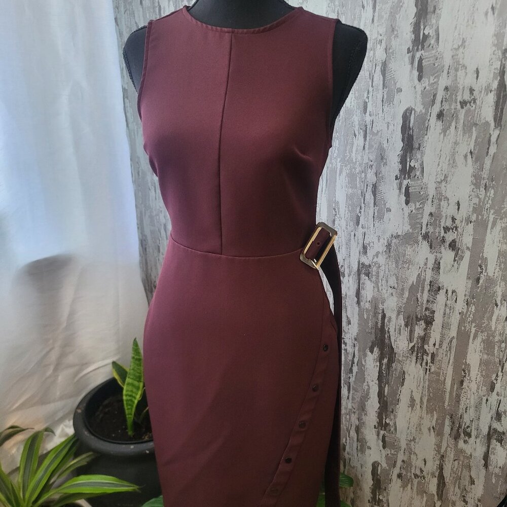 Express Wine/Burgundy Sleeveless Dress